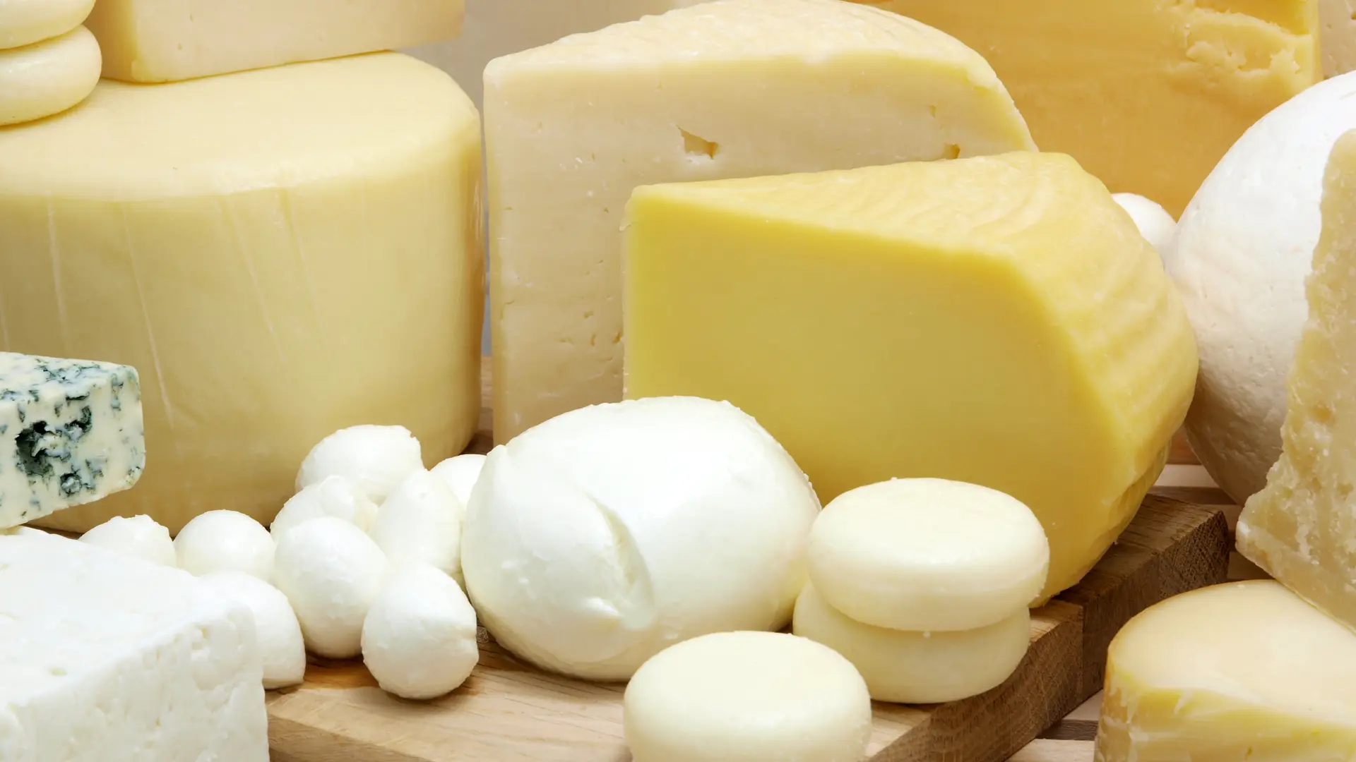 contenitori per formaggi