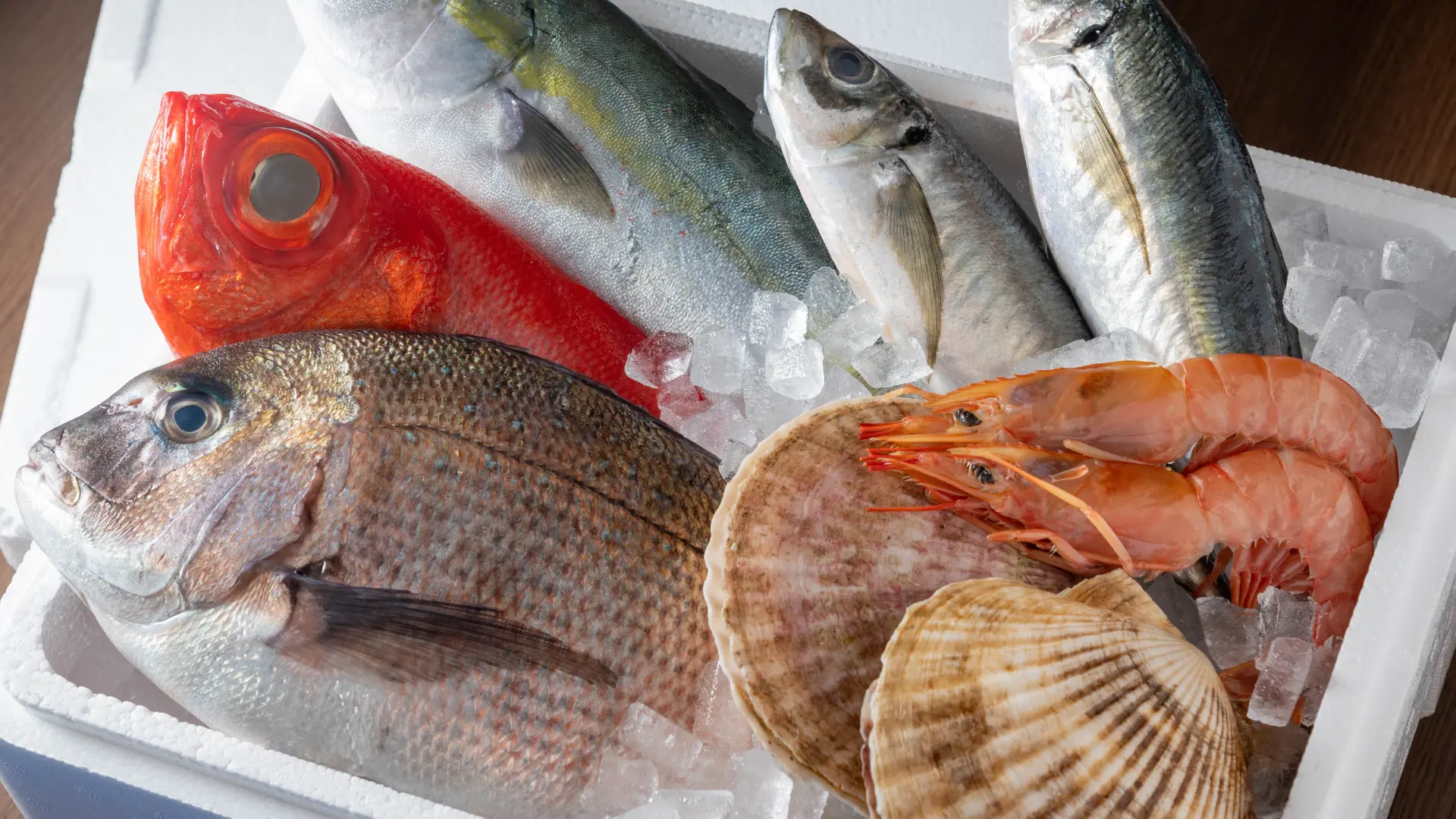 contenitrori per pesce - icss