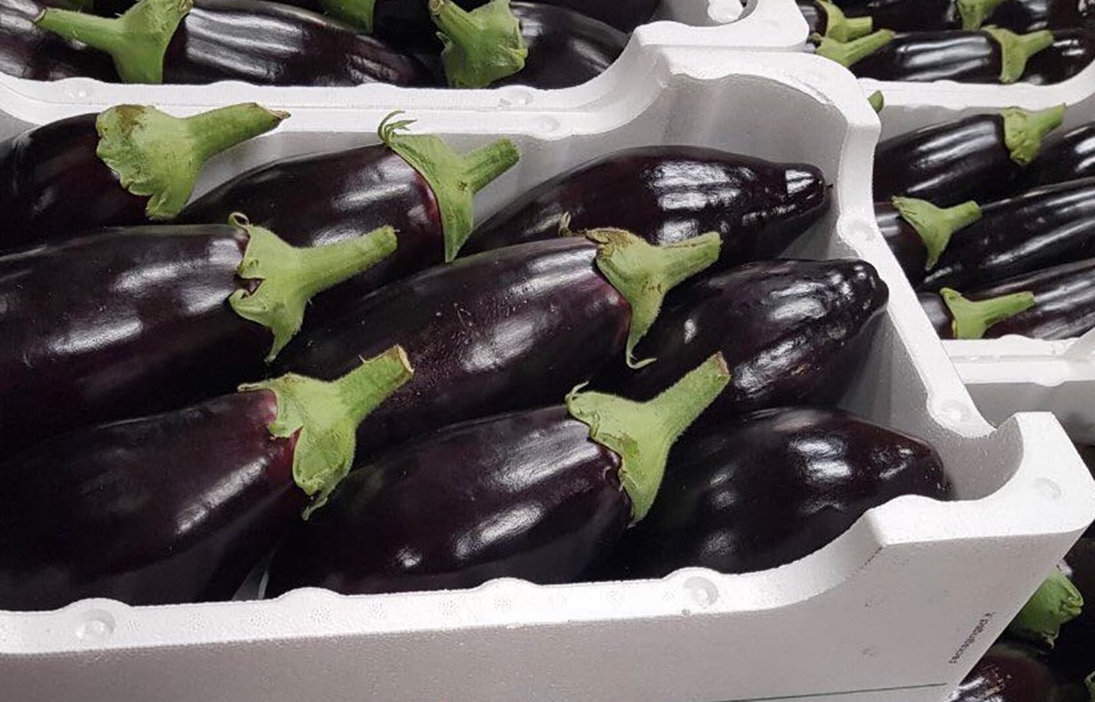 Ortofrutta